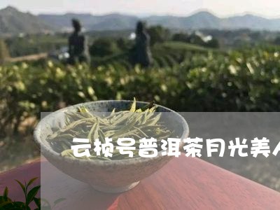 云桢号普洱茶月光美人/2023062107573