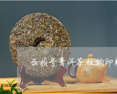 云桢号普洱茶版纳印象/2023062196146