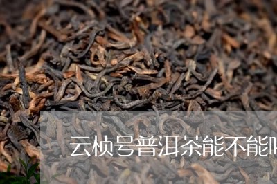 云桢号普洱茶能不能喝/2023092737146