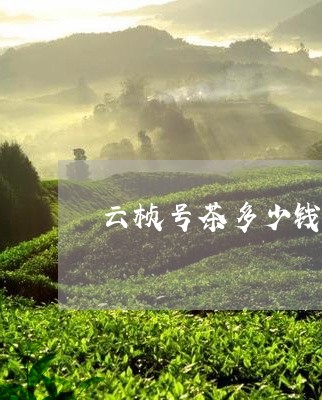 云桢号茶多少钱大益茶保质期是多久/2023060439482