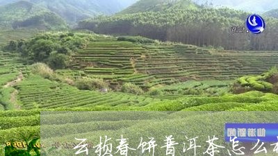 云桢春饼普洱茶怎么样/2023072454848