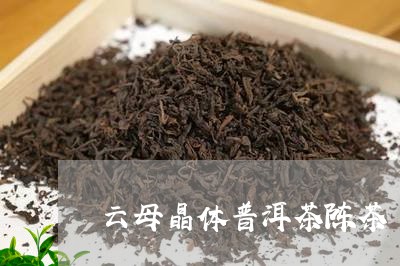 云母晶体普洱茶陈茶/2023091301746