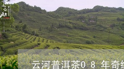 云河普洱茶08年奇缘/2023080219264