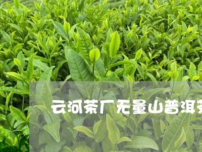 云河茶厂无量山普洱茶/2023073169402