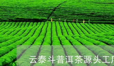 云泰斗普洱茶源头工厂/2023082795137