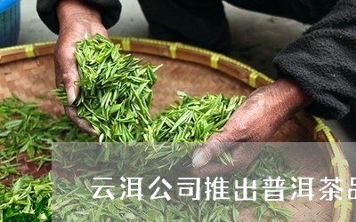 云洱公司推出普洱茶品牌/2023102421495