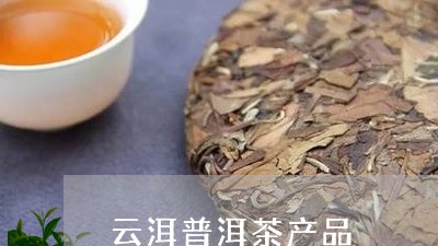 云洱普洱茶产品/2023082839571