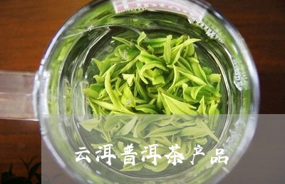 云洱普洱茶产品/2023110598280