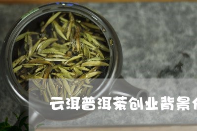 云洱普洱茶创业背景介绍/2023102474716