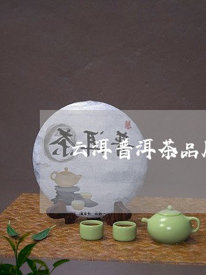 云洱普洱茶品牌名称大全/2023102420605