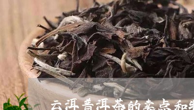 云洱普洱茶的卖点和特点/2023102419491