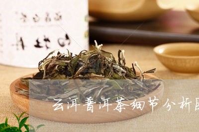 云洱普洱茶细节分析图片/2023120751513