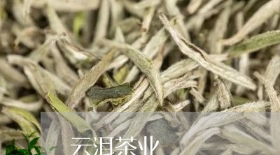 云洱茶业/2023090115937