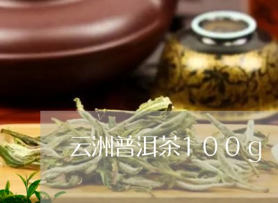 云洲普洱茶100g/2023120563928