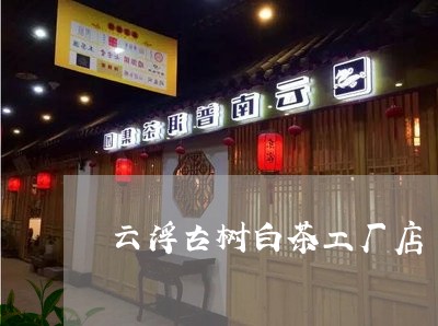 云浮古树白茶工厂店/2023071464138