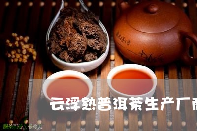 云浮熟普洱茶生产厂商/2023061301504