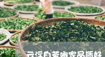 云浮白茶哪家品质好/2023071409491