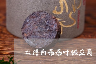 云浮白茶茶叶供应商/2023121685495