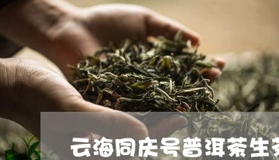 云海同庆号普洱茶生茶/2023120633936