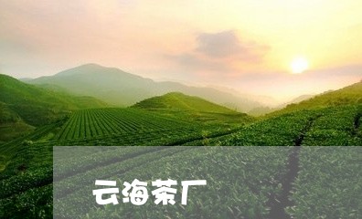 云海茶厂/2023121917252