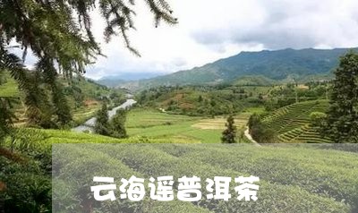 云海谣普洱茶/2023042715656