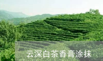 云深白茶香膏涂抹/2023061487282