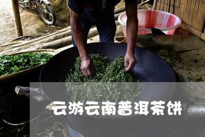 云游云南普洱茶饼/2023120426359