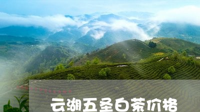 云湖五圣白茶价格/2023061419926