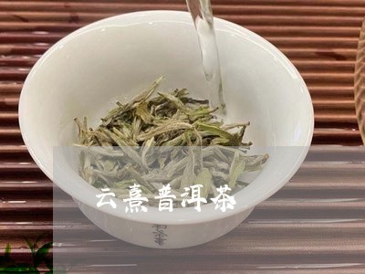 云熹普洱茶/2023112626147