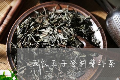 云牧五子登科普洱茶/2023070936369