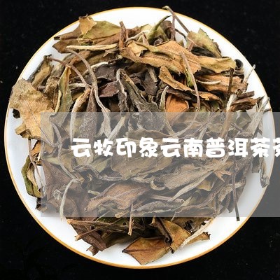 云牧印象云南普洱茶茶/2023061402718