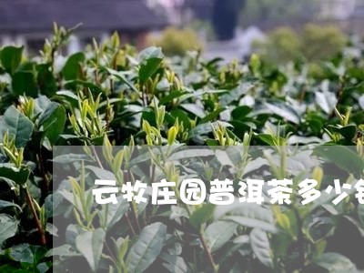 云牧庄园普洱茶多少钱/2023062138272