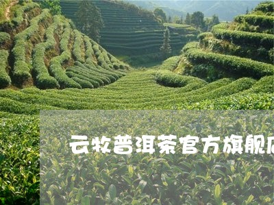 云牧普洱茶官方旗舰店/2023061627373