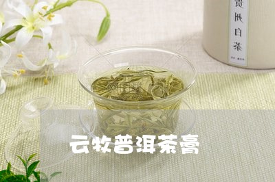 云牧普洱茶膏/2023042907985