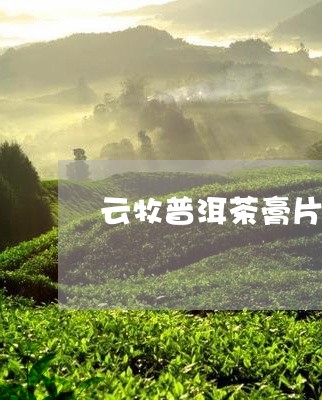 云牧普洱茶膏片吃法/2023120565049