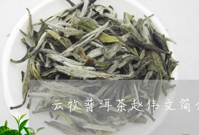 云牧普洱茶赵伟文简介/2023092702815