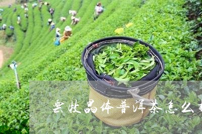 云牧晶体普洱茶怎么样/2023120614715