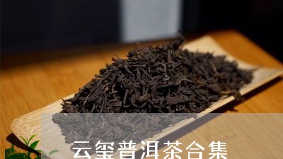 云玺普洱茶合集/2023101673727