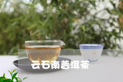 云石南普洱茶/2023042771229