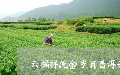 云福祥流金岁月普洱茶/2023092774370