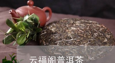 云福阁普洱茶/2023102529370