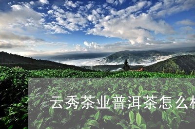 云秀茶业普洱茶怎么样/2023111025159