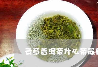 云章普洱茶什么茶最好/2023080362604