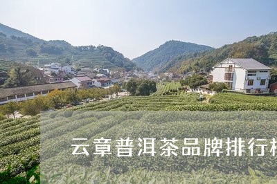 云章普洱茶品牌排行榜/2023061608269