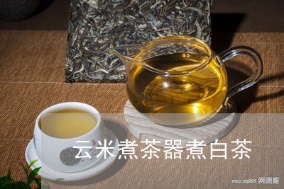 云米煮茶器煮白茶/2023061477262