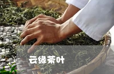 云缘茶叶/2023110816148