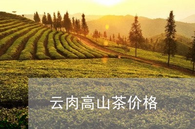 云肉高山茶价格/2023050185247