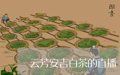 云芳安吉白茶的直播/2023081277081