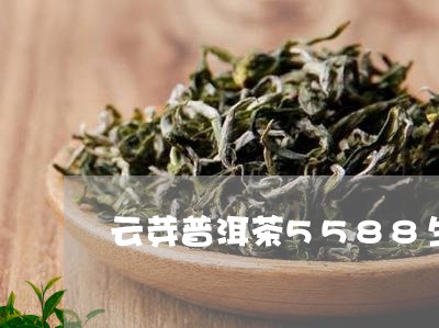 云芽普洱茶5588生茶/2023082770726