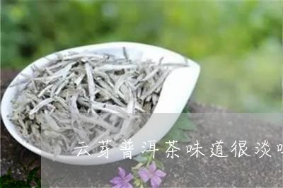 云芽普洱茶味道很淡吗/2023062117272